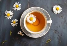 ТОП-5 чаїв, які допоможуть контролювати рівень цукру в крові