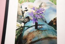 У Вінниці відкрилася фотовиставка військовослужбовця «Квіти з війни»