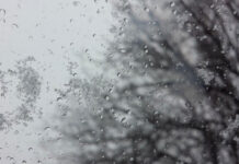 Сьогодні у Вінниці очікується дощ зі снігом