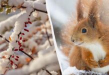 Сьогодні у Вінниці синоптики обіцяють сонячну погоду