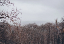 Прогноз погоди у Вінниці на 19 грудня