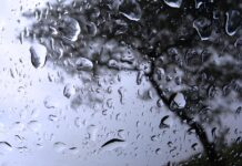 Прогноз погоди у Вінниці на 22 грудня