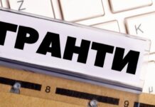 Грантовий конкурс для підтримки ВПО стартував на Вінниччині