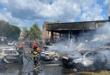 Збитки екосистемі Вінниччини через війну складають понад 79 млн грн