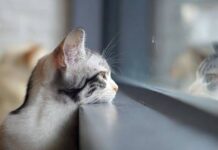 Прогноз погоди у Вінниці 23 грудня