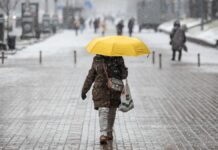 Снігопад та дощ у Вінниці: погода 11 грудня