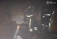 Пожежі та негода на Вінниччині: рятувальники активно працюють для безпеки громадян