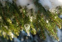 Сьогодні у Вінниці похмура погода