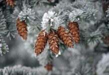 У Вінниці 5 грудня буде хмарно, але без опадів