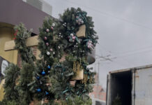 Ялинкові базари у Вінниці: ціни, локації та святковий настрій