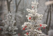 У Вінниці 30 грудня буде хмарним, але без опадів