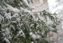 Сьогодні у Вінниці можливий сніг