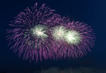 Новорічні свята без феєрверків: поліція закликає вінничан до відповідальності