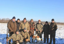 Санітарне полювання: на Вінниччині відстріляли 56 лисиць