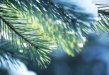 Прогноз погоди у Вінниці 2 січня