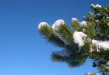 Прогноз погоди у Вінниці 13 січня