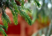 Прогноз погоди у Вінниці 9 січня