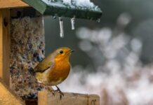 Якою буде погода у Вінниці у неділю