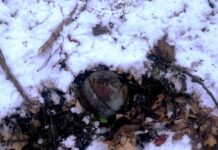 На Вінниччині вибухотехніки знищили суббоєприпас від ракети Х-101