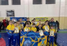 Юні борці з Вінниччини здобули нагороди на обласному турнірі у Тульчині