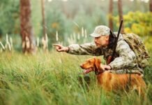 Полювання на лисиць та кабанів: як Вінниччина бореться з поширенням сказу
