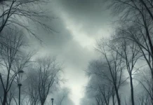 Сьогодні у Вінниці похмура погода