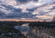 Погода у Вінниці 20 січня: ясний день без опадів