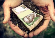 Ринок землі на Вінниччині: ціни ростуть, але ажіотажу немає