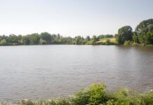 Суд зобов’язав повернути 1,5 га земель водного фонду біля Вінниці