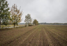 На Вінниччині суд повернув державі землі оборони площею 2,9 га