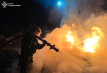 Антирекорд на Вінниччині: за добу згоріло 49 гектарів землі