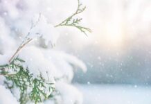 Прогноз погоди у Вінниці на 25 лютого