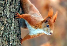 Погода у Вінниці 22 лютого: холодний ранок та ясний вечір