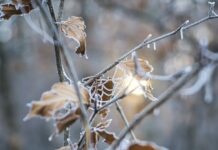 Якою буде погода у Вінниці 26 лютого