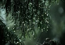 Прогноз погоди у Вінниці 2 лютого