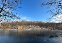 Прогноз погоди на найближчі тижні: морози та сніг не відступають