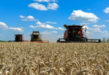 Понад 712 млн грн спрямував Вінницький Хаб МХП до бюджетів усіх рівнів у 2024 році