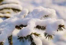 У Вінниці 3 лютого прогнозують сніг та хмарну погоду