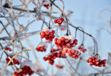 Прогноз погоди у Вінниці на 27 лютого