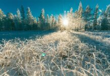 Погода у Вінниці 20 лютого