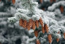 Прогноз погоди у Вінниці на 9 лютого