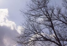 Прогноз погоди у Вінниці 19 березня