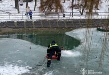 У Вінниці надзвичайники витягли собаку з водойми