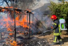 Масштабні пожежі на Вінниччині: за добу згоріло понад 78 гектарів