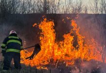 На Вінниччині з початку року вогонь знищив понад 900 гектарів землі