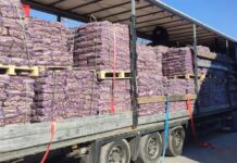 Вінницька митниця конфіскувала партію деревини через фальшиві документи