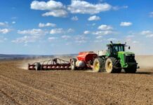 На Вінниччині триває весняна посівна: аграрії вже засіяли понад 25 тисяч гектарів