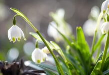 Прогноз погоди у Вінниці 3 березня