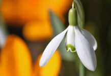 Прогноз погоди у Вінниці 11 березня