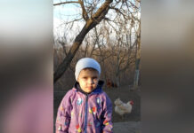 Поліція Вінниччини розшукує 3-річного Остапа Майданюка